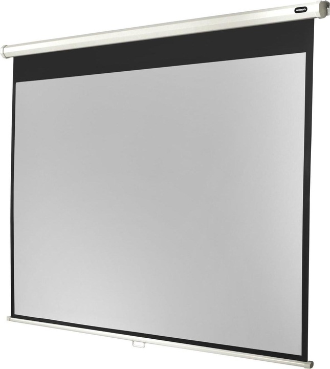 Actual product image Celexon Rollo Economy, Canvas, 1:1 (167", 1:1)