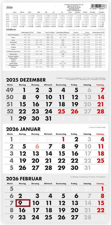 Trtsch Dreimonatskalender Drei-Monatskalender 2026 (Deutsch)