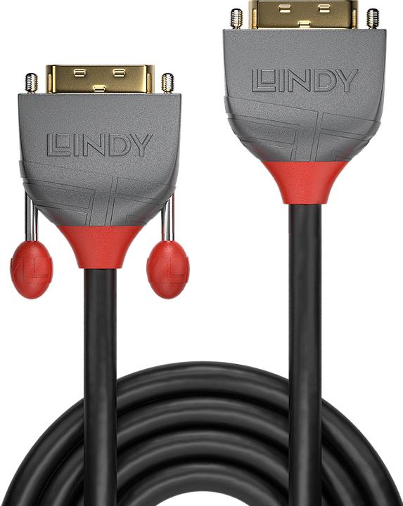 Produktbild Lindy Dvi — Dvi (0.50 m, DVI)