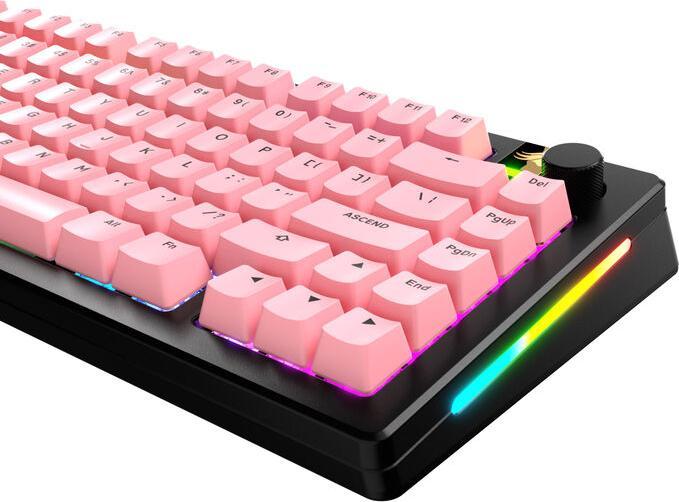 Image du produit Glorious GPBT Basics Keycaps, ANSI Layout (US), PBT, Dye-Sub - Potion Pink