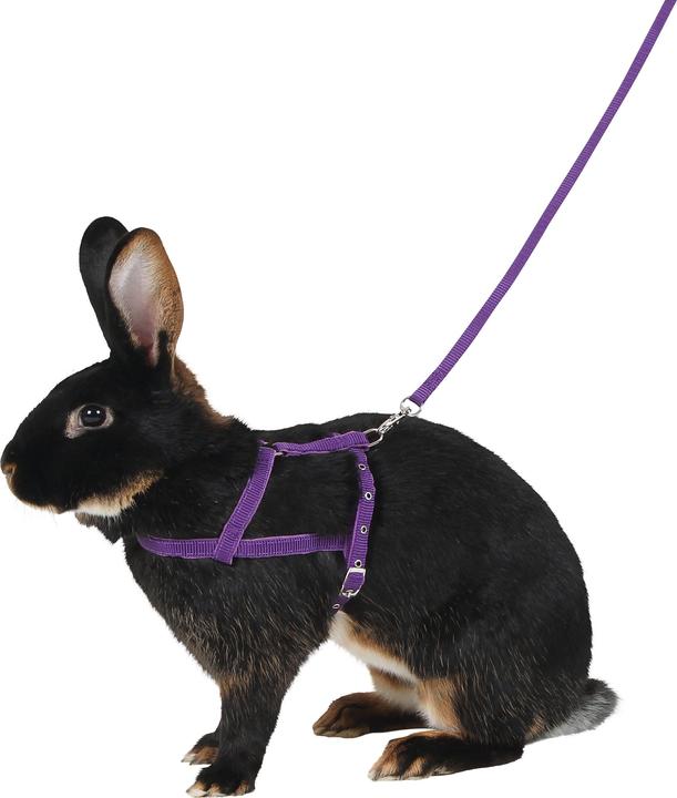Produktbild Kerbl Agility (M, Allgemein)