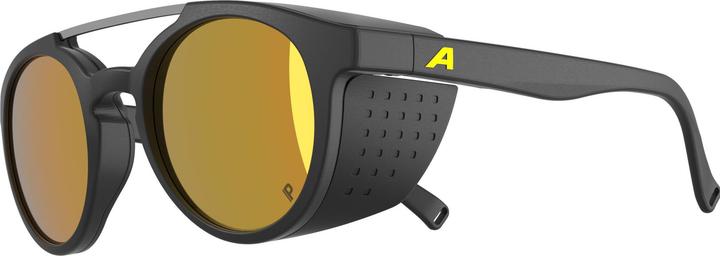 Produktbild Alpina Glace P