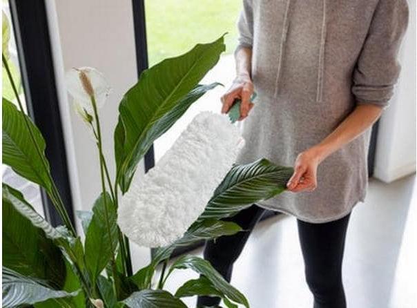 Produktbild Leifheit Superduster (1 Stk.)