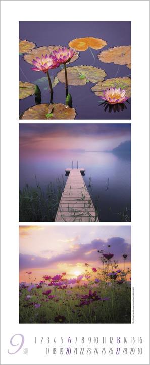 Produktbild Colour Triplets 2026