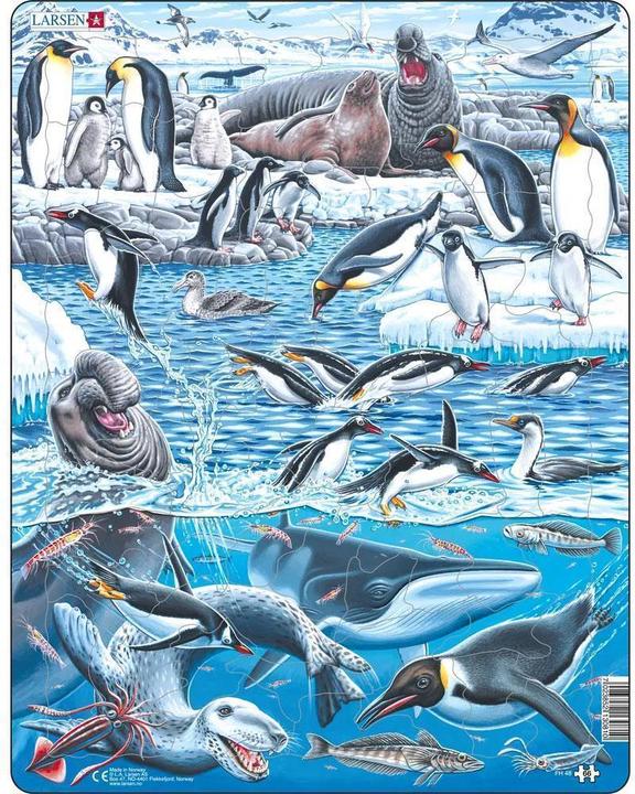 Larsen Le froid et la beauté de l'Antarctique (66 pièces)