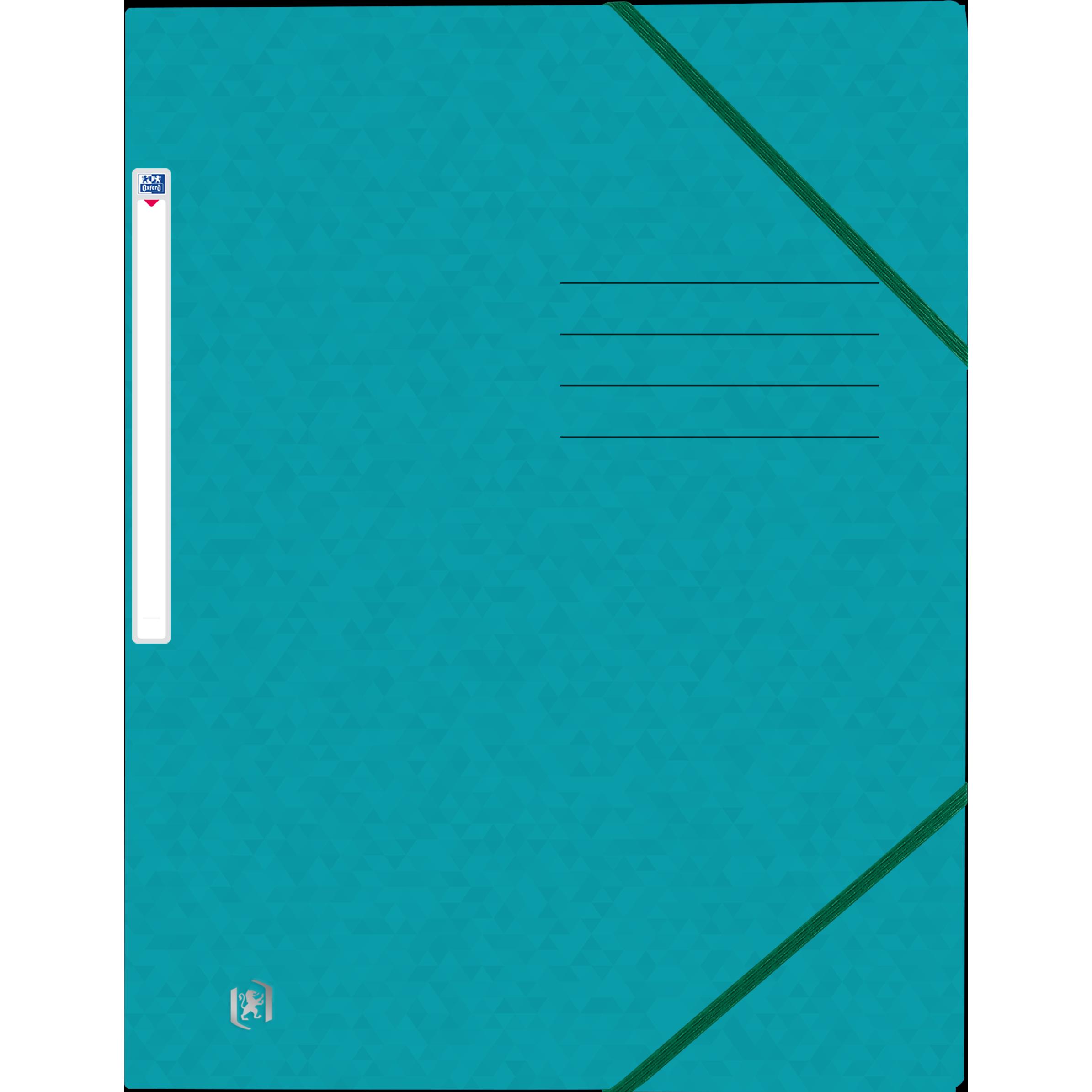 Oxford, Mappe, Eckspannmappe TOP FILE+, A4 (A4, 1 x)