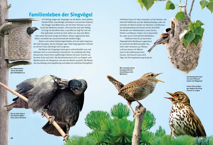Image du produit Entdecke die Singvögel (Allemand, Thomas Schmidt, 2015)