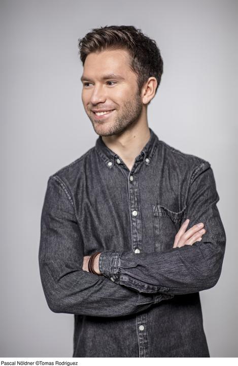 Image du produit Die geheime Drachenschule - Der Drache mit den silbernen Hörnern (Allemand, Emily Skye, 2019)