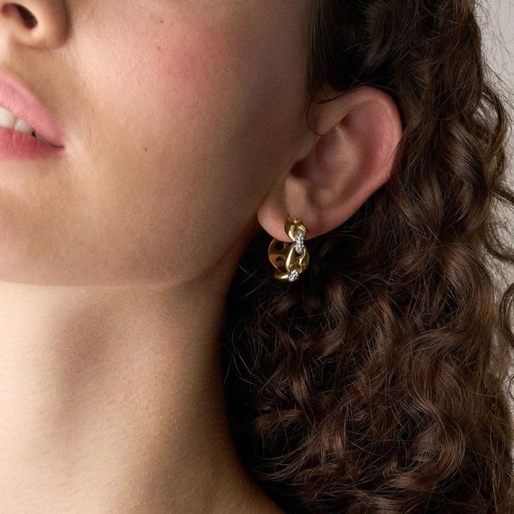 Produktbild Fossil Heritage Ohrringe (Edelstahl)