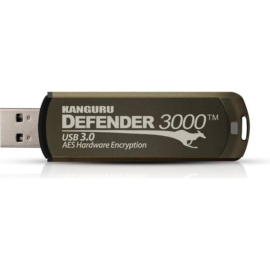 iStorage 32GB Kanguru Defender 3000 (32 GB, USB 3.2), USB Stick, Gold