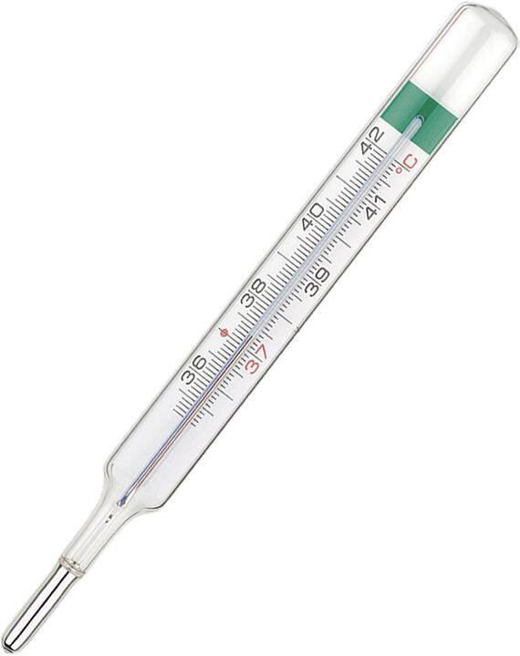 Immagine prodotto Ca-Mi T-Classic (Orale, Ascella, Rettale)