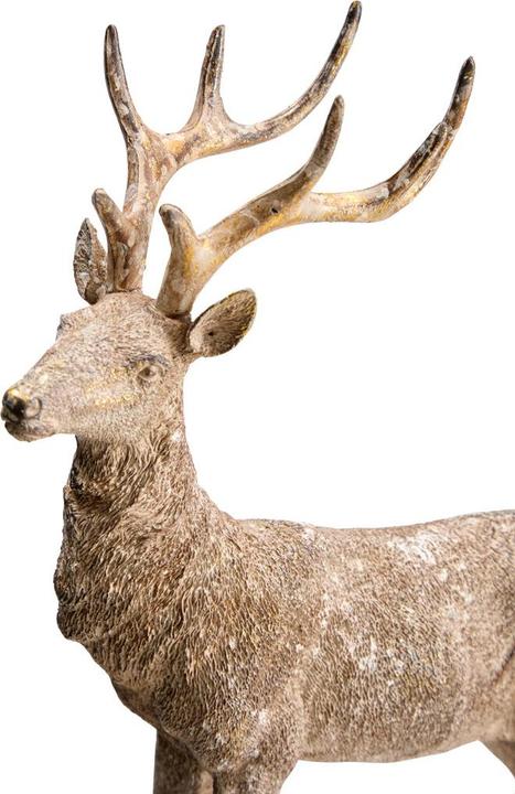 Image du produit pfister Alpine Nature