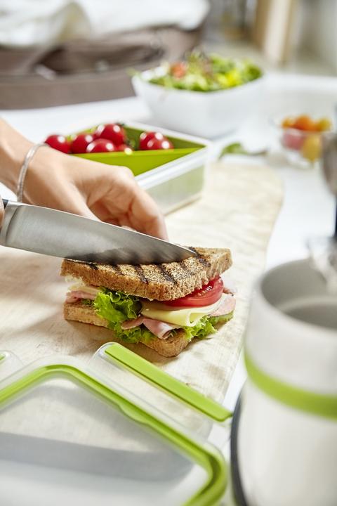 Actual product image Tefal MasterSeal TO GO Snack 0.55 l.