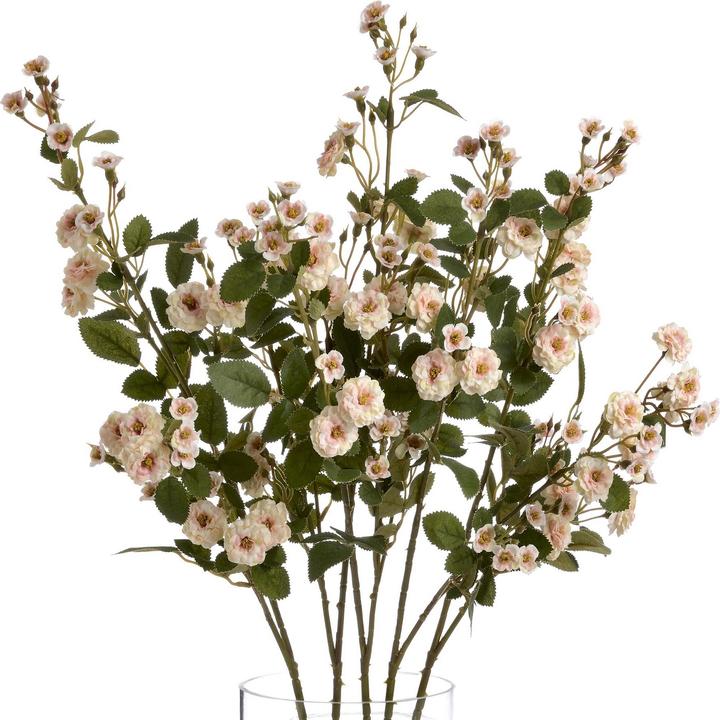 Cream colour, Green