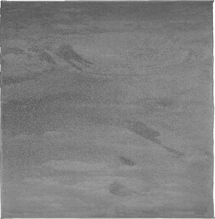 Produktbild vidaXL Teppich (240 x 240 cm)
