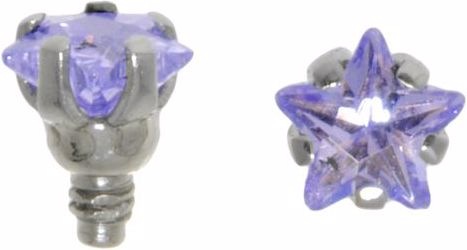 Image du produit Bijouteria Embout Dermal-Anchor (Cristallin, Acier chirurgical 316L)