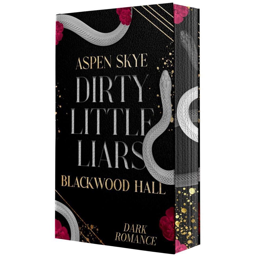 Dirty Little Liars, Belletristik von Aspen Skye