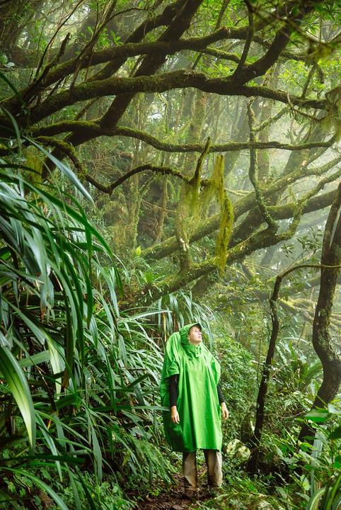 Image du produit Sea To Summit Tarp Poncho (Taille unique)