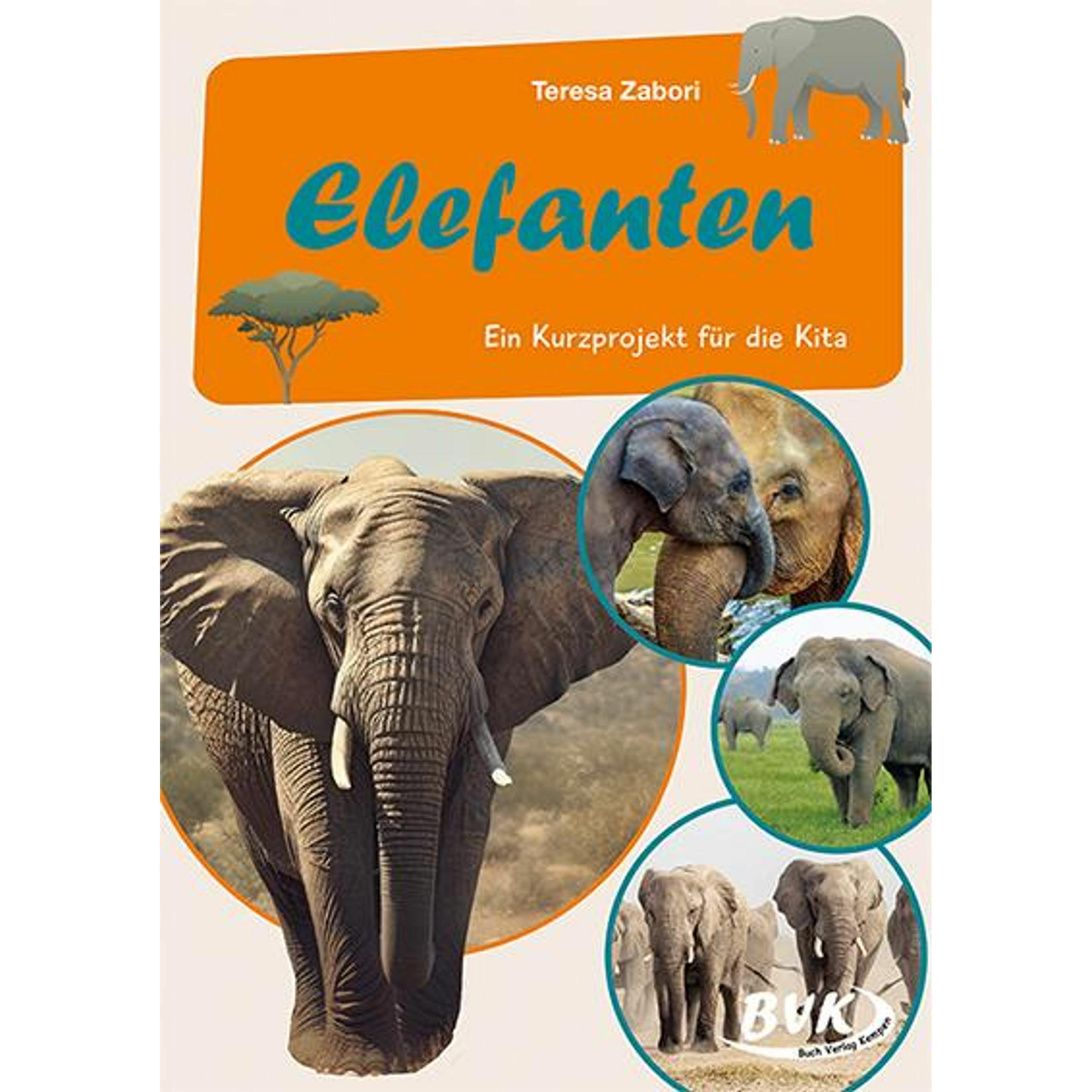 Zabori:Elefanten, Schulbücher von Teresa Zabori