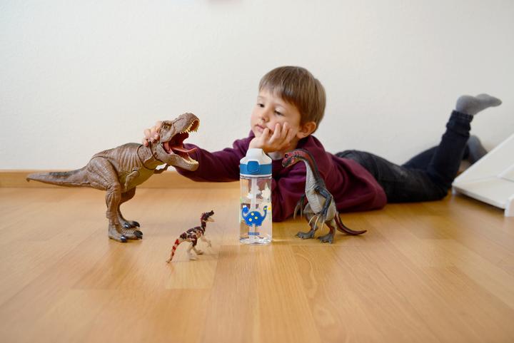 Actual product image Sigg Miracle Tritan (0.45 l)