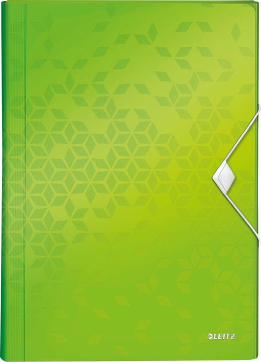 Actual product image Leitz Project folder WOW A4 PP Green (A4, 1x)
