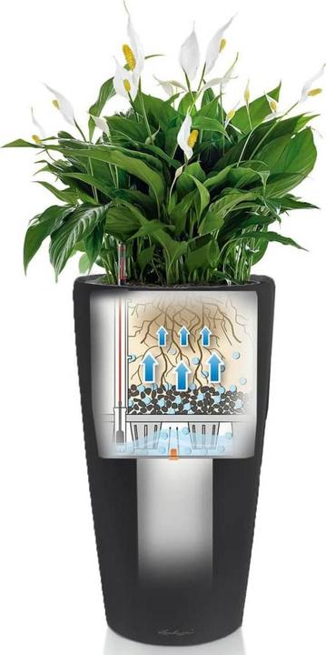 Immagine prodotto Lechuza Rondo (40 x 75 cm)