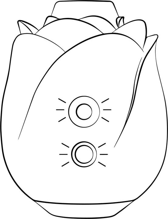 Actual product image Romp Rose