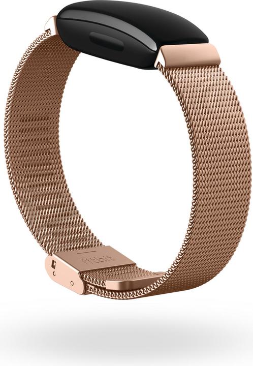 Produktbild Fitbit Inspire 2 Metallgeflecht-Armband (Metall, Inspire 2)