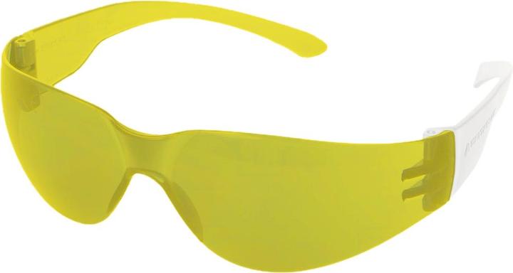 Actual product image Delta Plus Brava 2 goggles