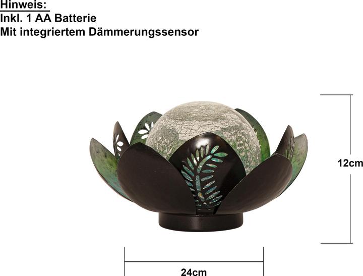 Image du produit Star Trading Solar Decoration Lilly (IP44)