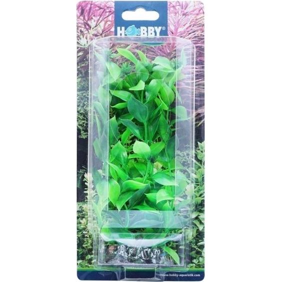 Dohse Hygrophila, 20 cm (sonstige Gegenstände), Aquarium Dekoration