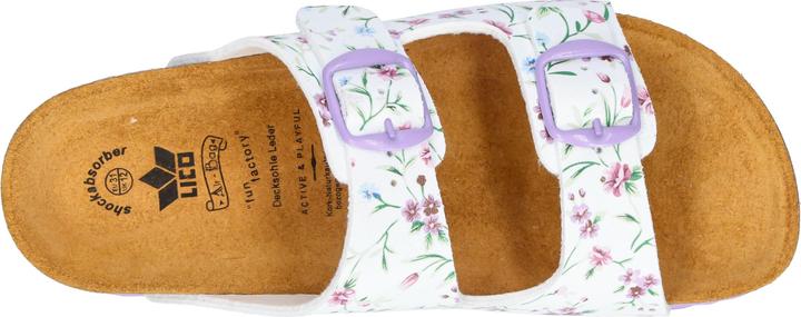 Image du produit Lico Bioline Rocky (36)