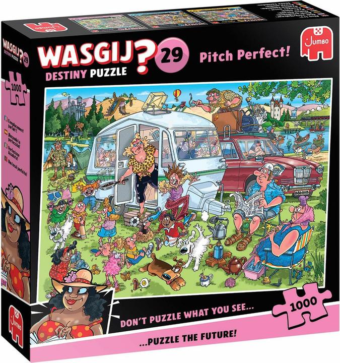 Wasgij Destiny 29 (1000 pieces)