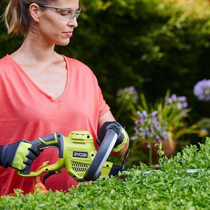 Image du produit Ryobi Elektro (Fonctionnement sur secteur)