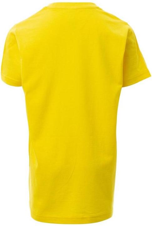 Actual product image Payper Print (x1) (11XL)