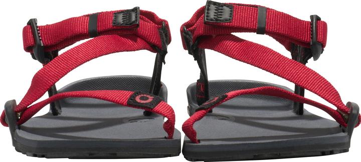 Actual product image Xero Shoes Z-Trail (32)