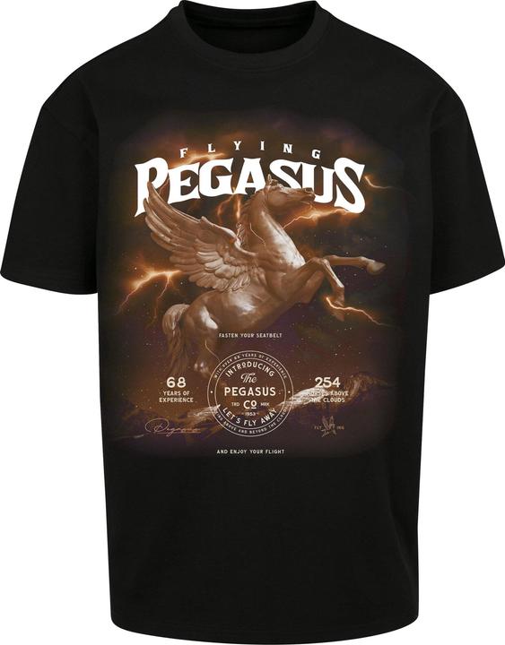 Actual product image MT Pegasus Oversize Tee (M)