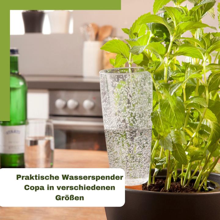Produktbild Scheurich Wasserspender Copa XL | 2x Transparent | 500 ml Füllmenge | Bewässerungskugel klein mit (Bewässerungskugeln)