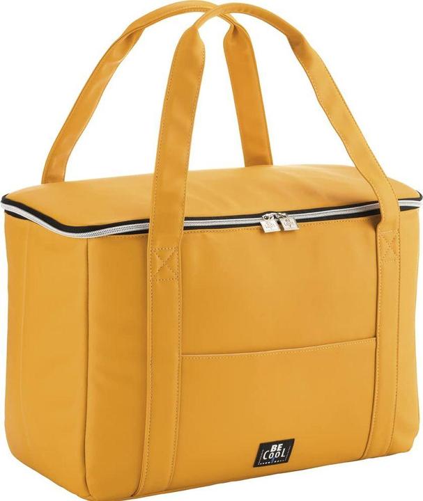 Actual product image BeCool Ice pack (28 l)