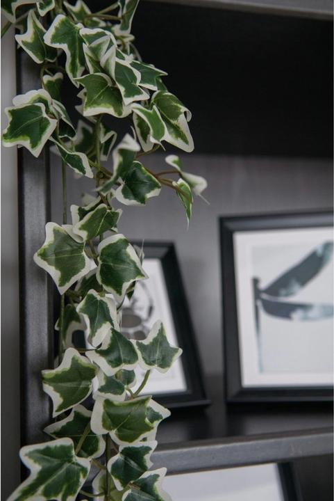 Actual product image Europalms Holland ivy barrier Classic (70 cm)