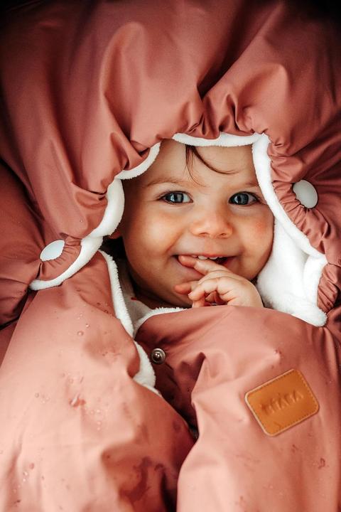 Image du produit Beaba Chancelière 6-24 mois terracotta