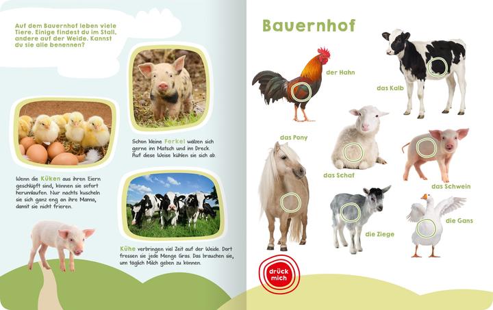 Produktbild Mein grosses Buch der Tiergeräusche (Deutsch, Oliver Grieshammer, 2017)