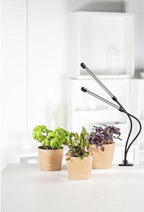 Produktbild Xavax Stick (LED, 5 V)