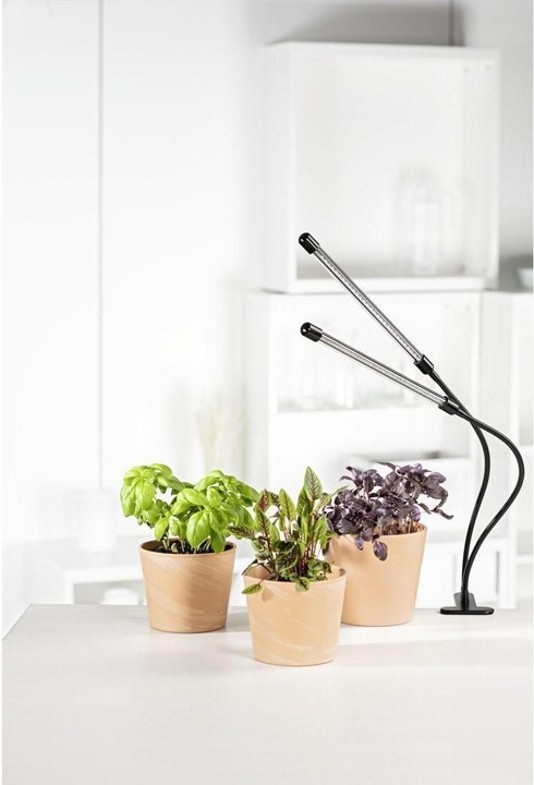 Actual product image Xavax Stick (LED, 5 V)