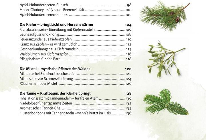 Produktbild Aromatischer Wald (Deutsch, Doris Kern, 2020)