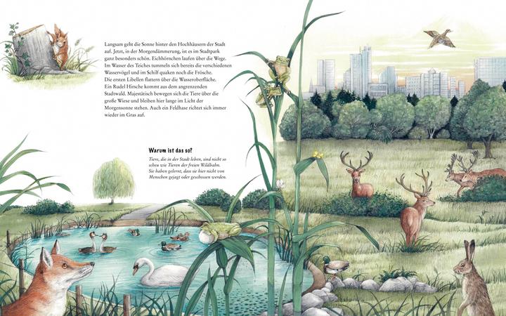 Immagine prodotto Wildtiere in der Stadt – Einem kleinen Fuchs auf der Spur (Tedesco, Susanne Riha, 2022)