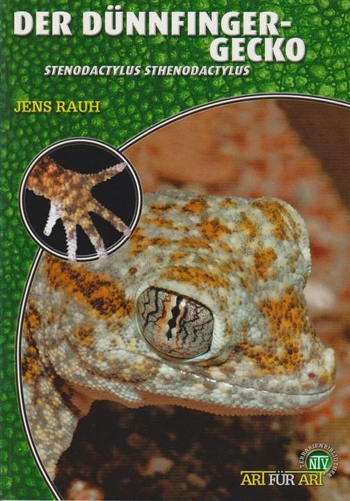 Produktbild Der Dünnfingergecko - Stenodactylus sthenodactylus (Deutsch, Jens Rauh, 2007)