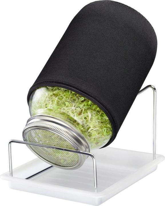 Westmark Sprossenglas-Set, 1 Glas