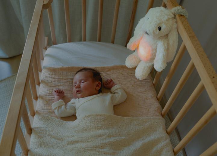 Image du produit ZaZu RO le lapin blanc