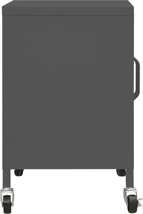 Actual product image vidaXL Aufbewahrungsschrank (60 x 35 x 56 cm)